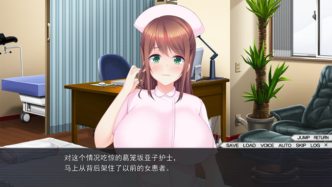 图片[2]-特别咨询服务 精翻汉化版 ADV游戏+全CG存档 2.2G-V次元