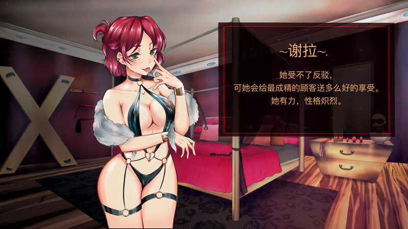 【日式SLG/官中/PC】天堂喜悦 Paradise Delight V2.0 STEAM官中步兵版  [PC]-V次元